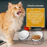 Ver la foto 5
