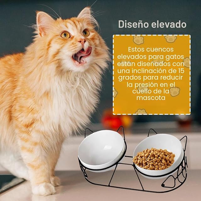 Foto 5 de 7 de Comedero Elevado de Cerámica - Juego de 3 Unidades con Inclinación de 15° para Gatos y Perros Pequeños, Doble…