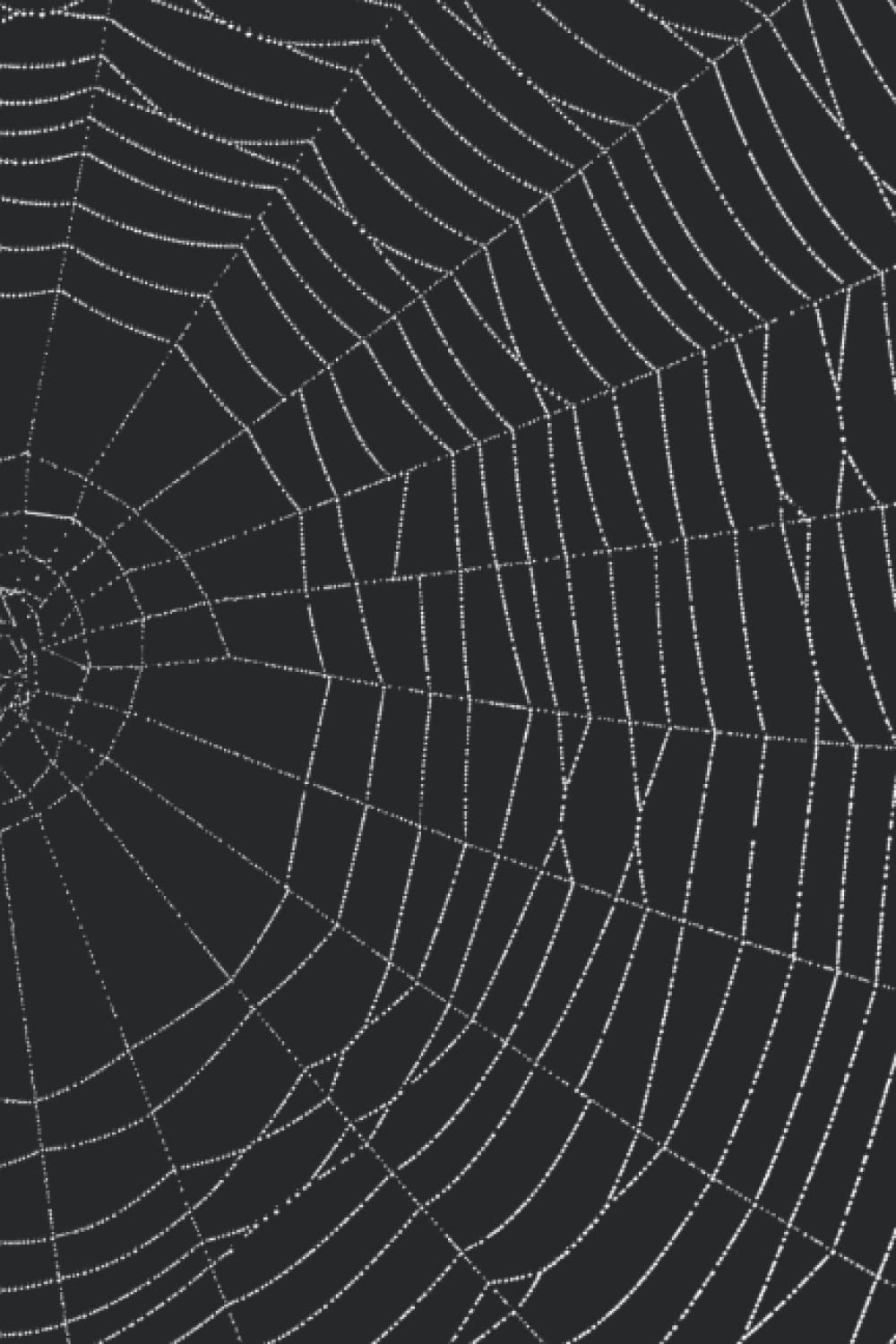 Spider Web Tarot Journal: Daily Tarot Tracker