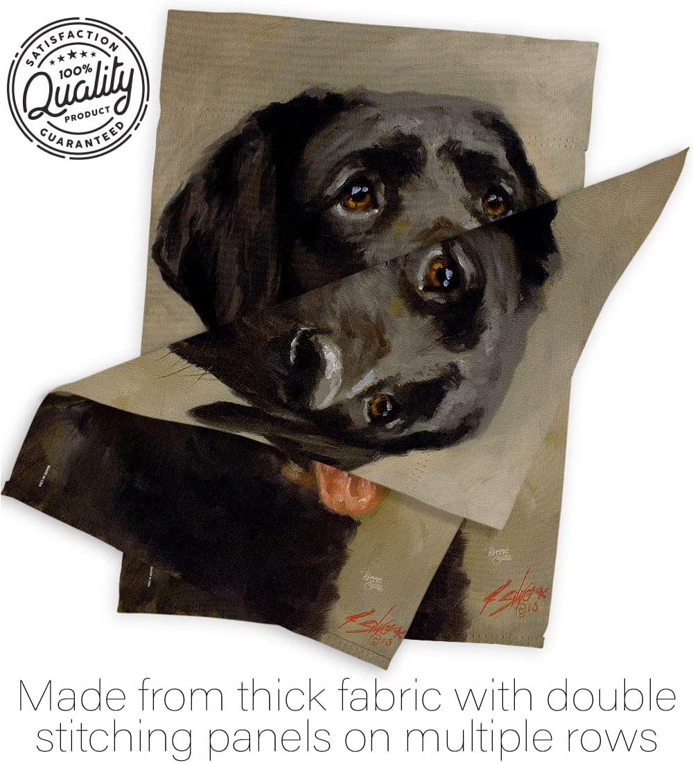 Breeze Decor H110076-BO Black Lab Nature Pets Impressions Decorative Vertical 28" x 40" Double Sided House Flag Printed in USA