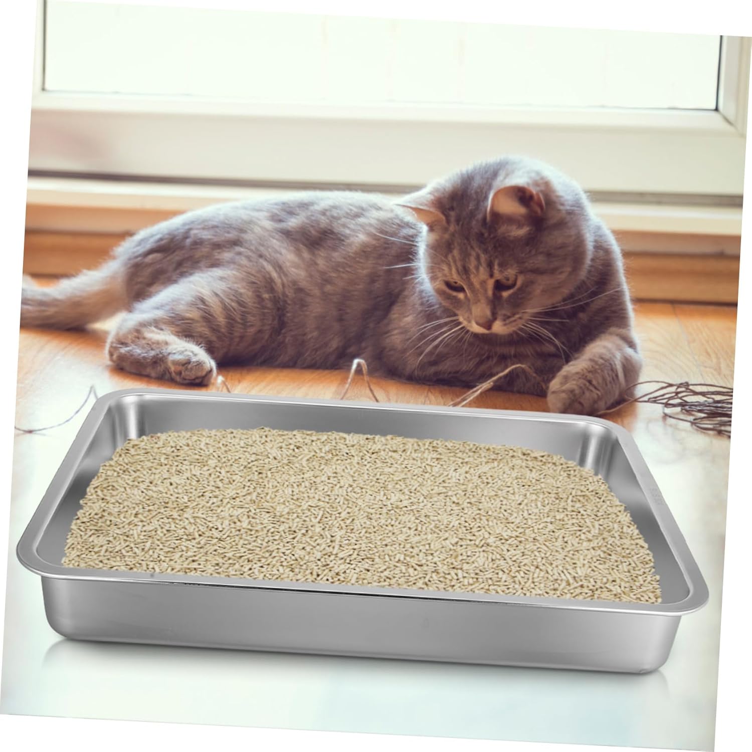 Large Stainless Steel Cat Litter Box Low Edge Open Design Easy Maintain Cat Toilet Tray for Home and Pet Shop Use