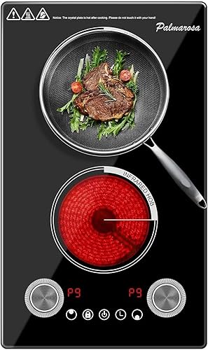 Cocina eléctrica de 2 quemadores, estufa integrada de 12 pulgadas, 2200 W, 110 V, control de perilla, 9 niveles de potencia, protección contra