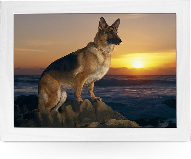 Portable Lap Desk Tray (German Shepherd Dog On Beach) Handmade Wooden Frame, Beanbag Cushioned Bottom | Computers, Laptops, Meals, Food | L0136 White