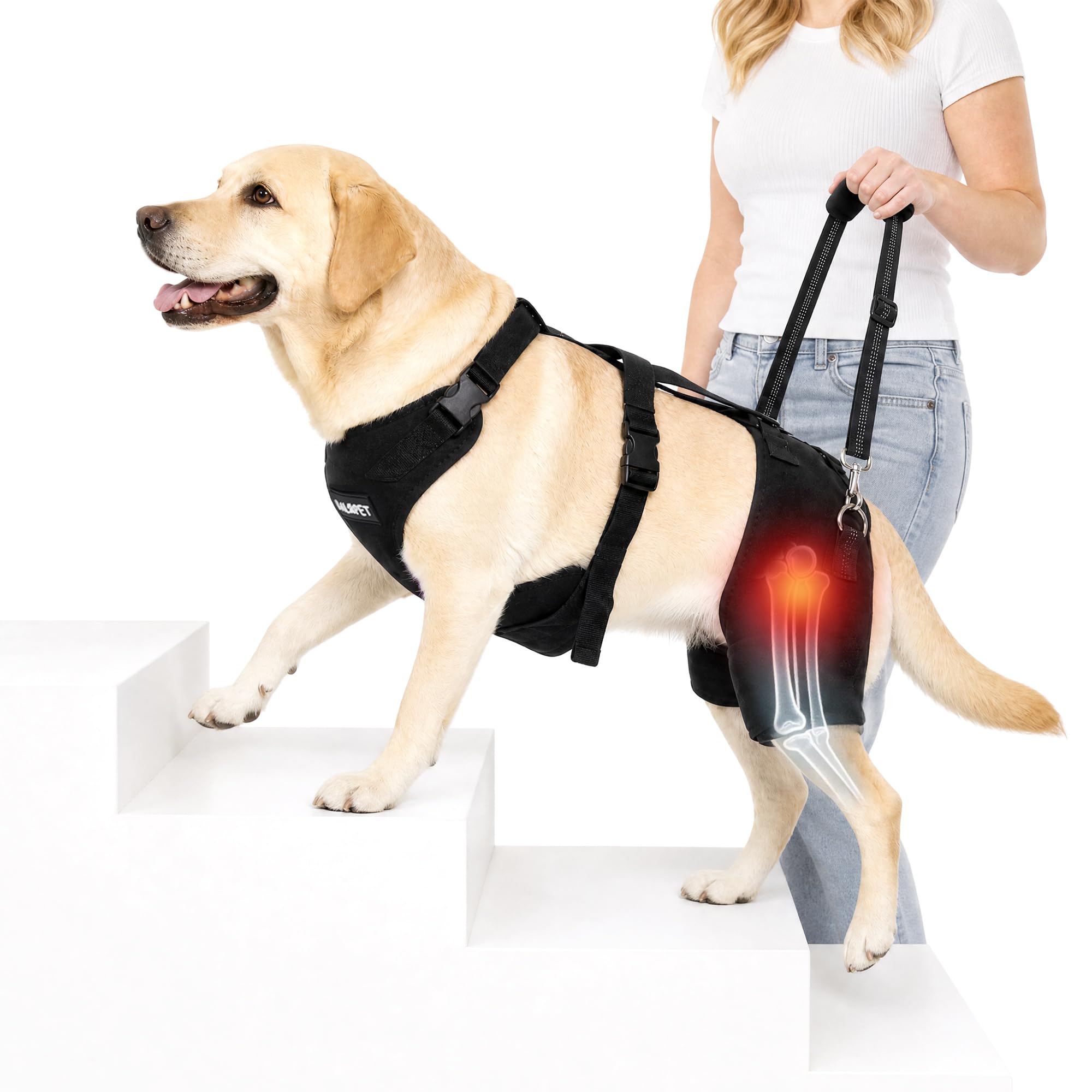 BALAPET BALAPET - Arnés de soporte de cadera para perro con mango de elevación, soporte de cadera ajustable para perros grandes, almohadillas suaves extraíbles para la cadera, arnés de asistencia de