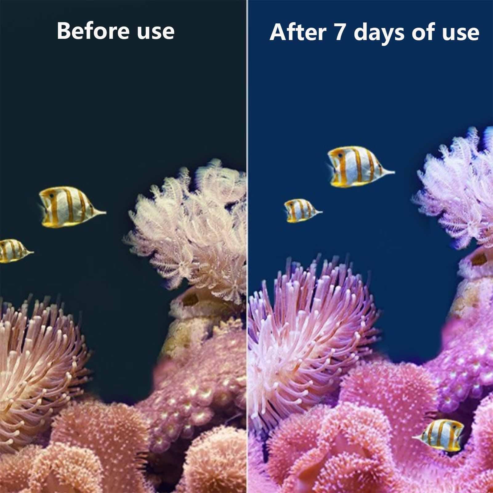 Filtres pour Aquarium, tampons filtrants en éponge Multicouches, Accessoires de Filtration pour Aquarium(M)