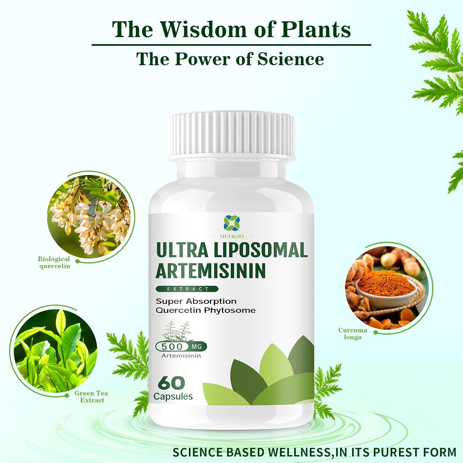 500 mg Artemisinin,Supports Healthy Aging, Digestion, and Immunity - Vegan, Non-GMO - Artemisia Annua Supplement,Bio-Qurecetin phytosome Extract with Quercetin Phytosome 200 mg, 60 capsul - Image 4