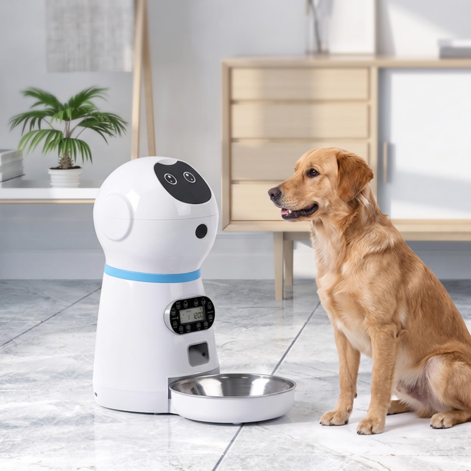 Baoblaze Distributore Automatico per Animali Dispenser Cibo Gatti Cani Alimentatore Programmabile Mangime Temporizzato con Messaggio Vocale Personalizzato