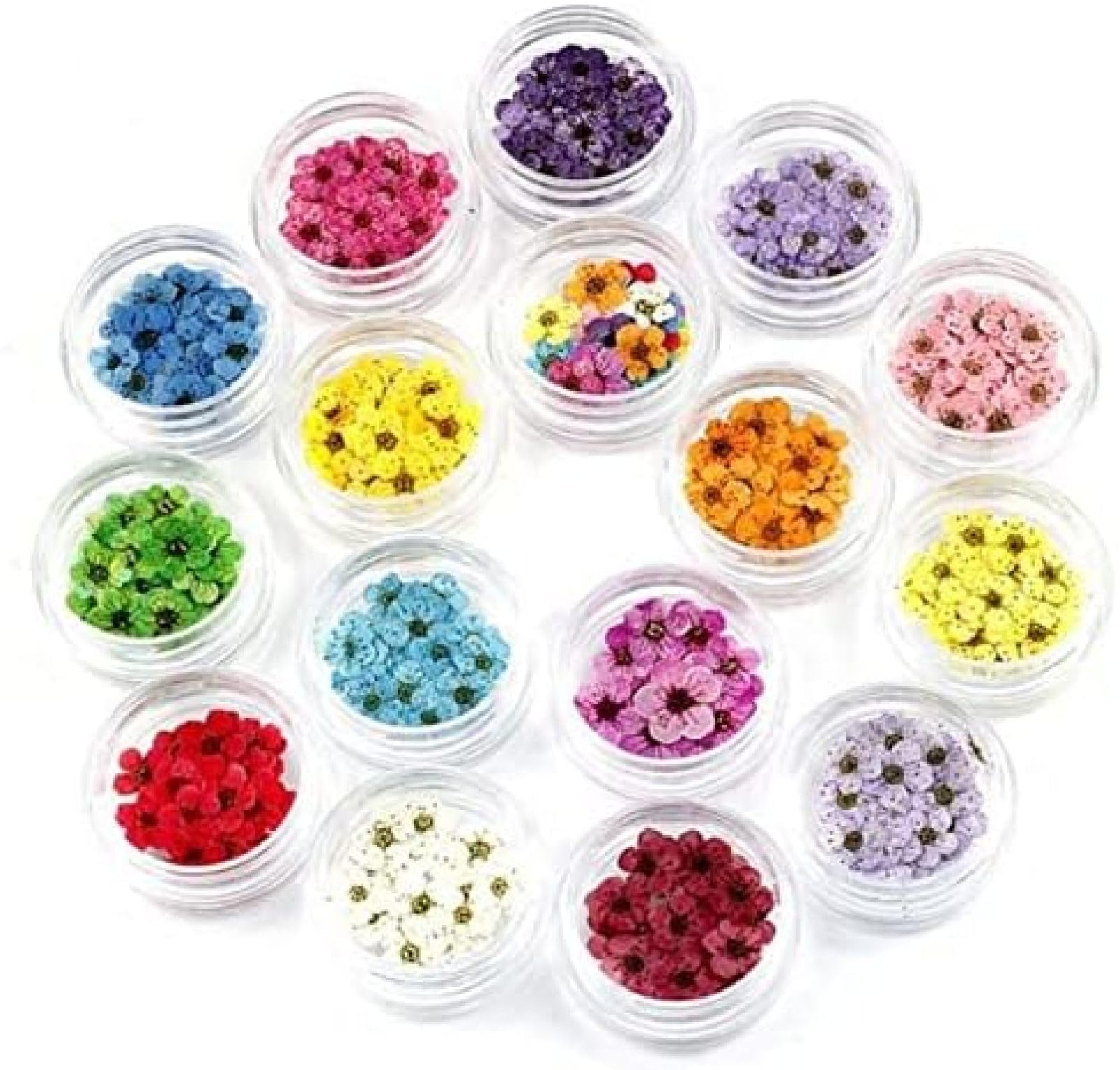 Fiori Pressati Secchi 100pcs Mini Narciso Essiccato Narciso Jonquilla Fiore Pianta Erbario per Gioielli in Resina Epossidica Segnalibro Cartolina Nailart DIY,L105,bonny369