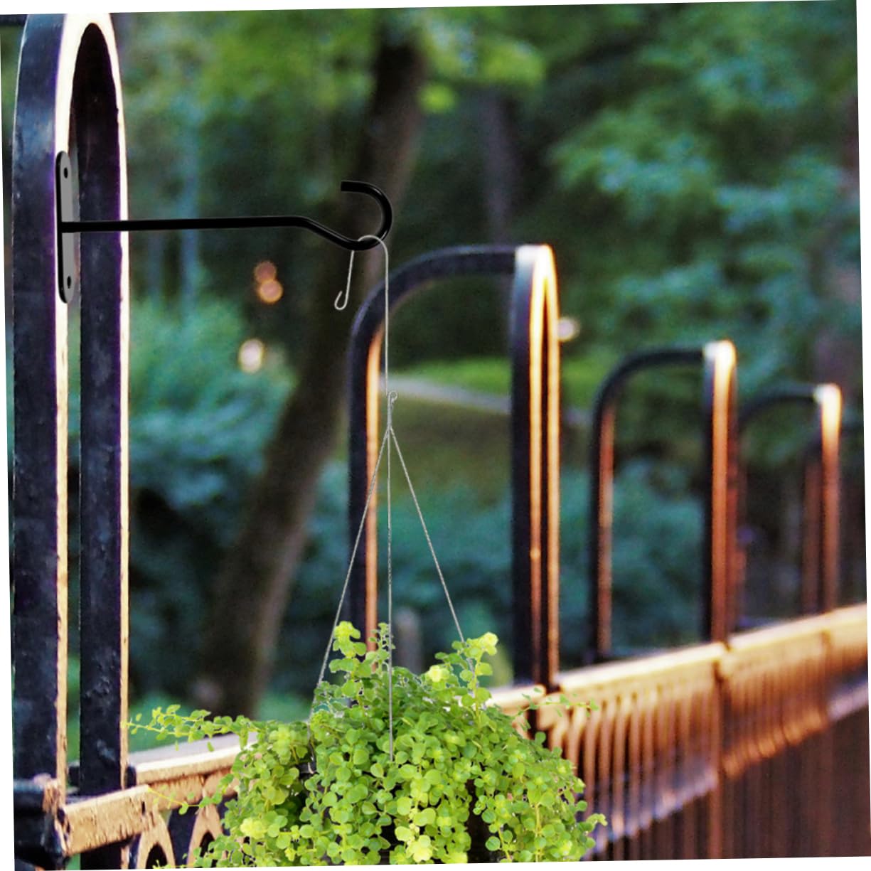 BESTonZON 8 Ensembles Panier de Suspendu Crochet Crochets Plantes en Multi Usine monté cintres de jardinière Cintres à Fleurs Crochet Suspendu Noir