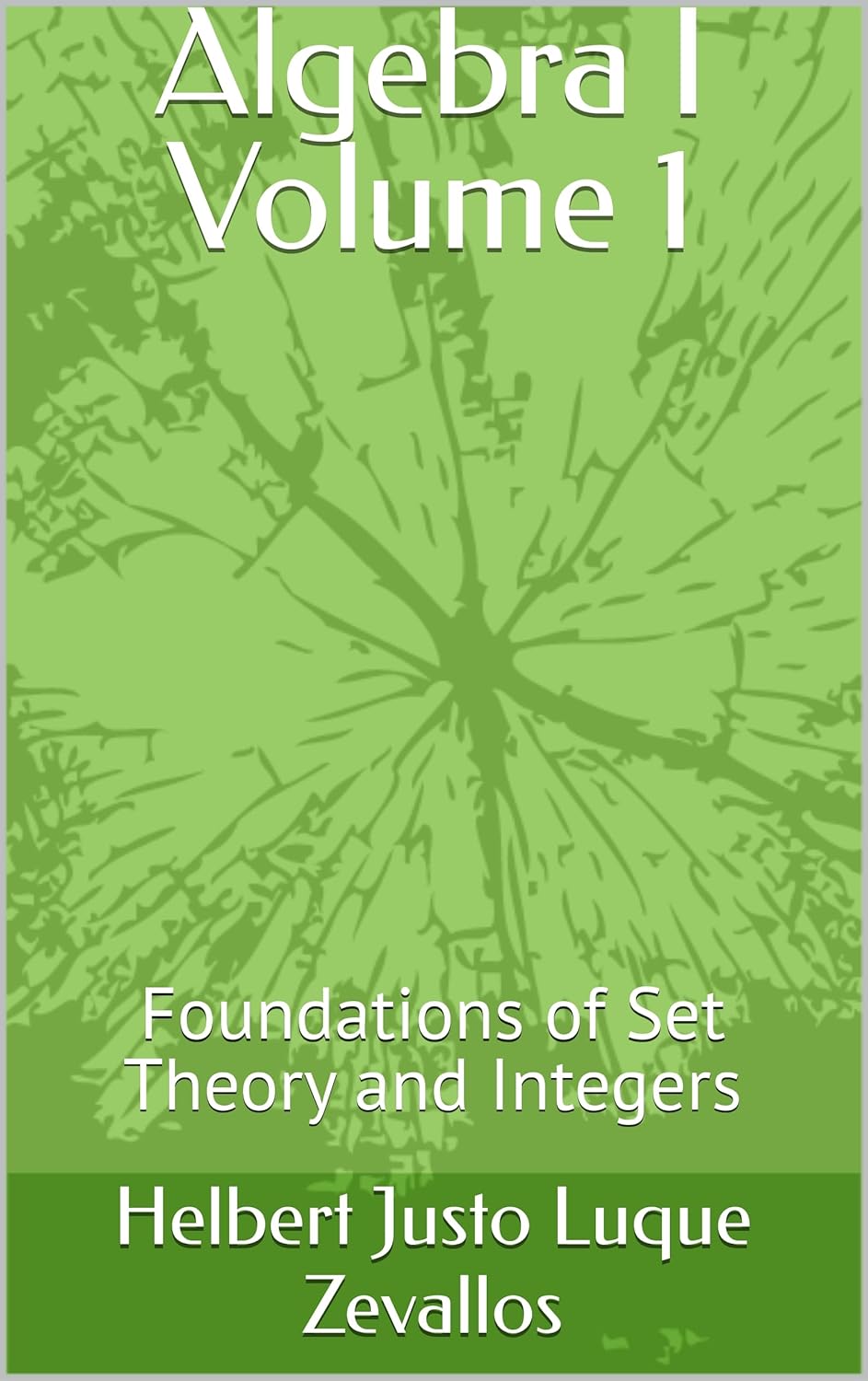 Algebra I Volume 1: Foundations of Set Theory and Integers (Bachelor's Degree in Mathematics)      Kindle Edition