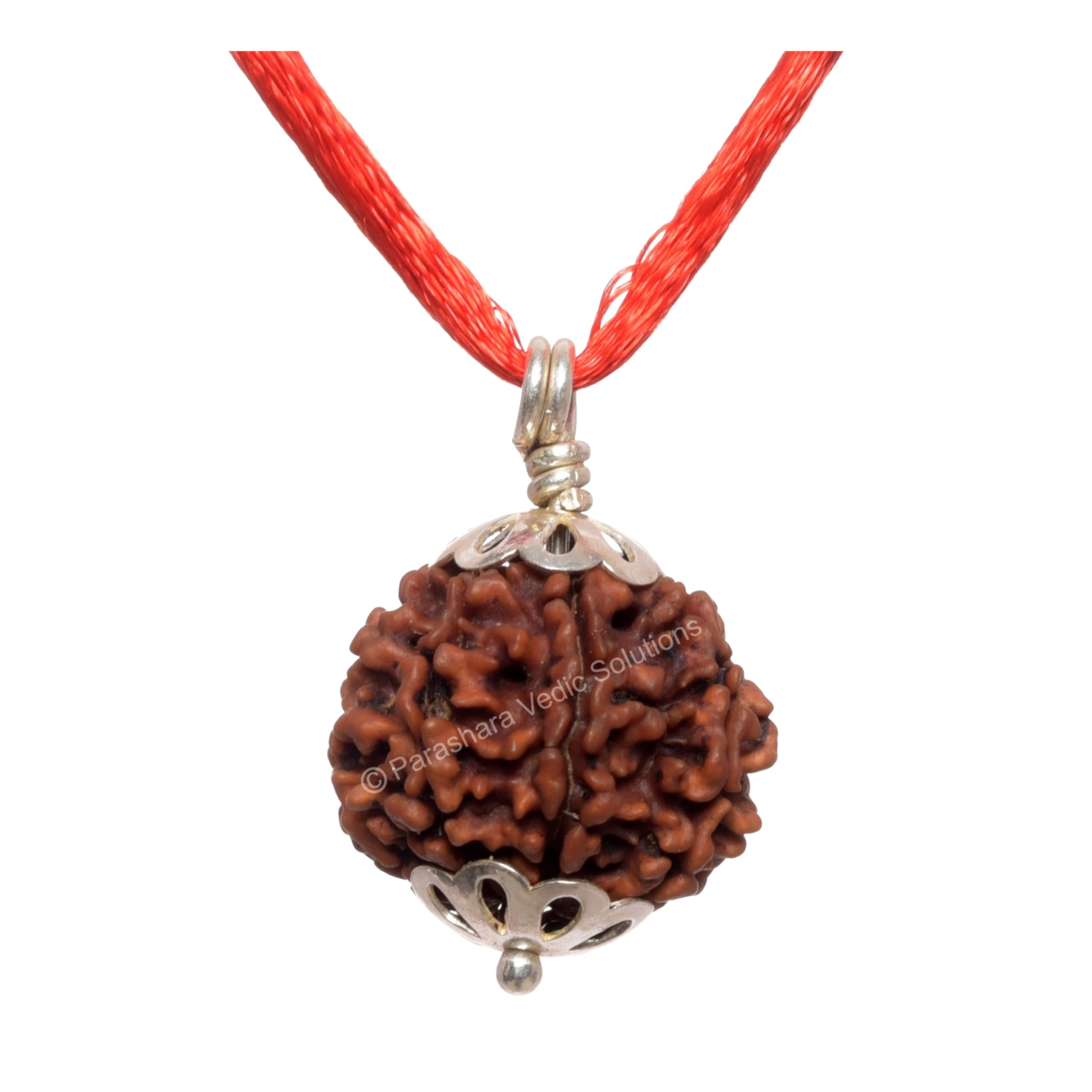 ARKAM Seven Mukhi Rudraksha Certified/Original Nepali 7 Mukhi Rudraksh/Natural 7 Faced Rudraksha with Silver Pendant (Brown) with Certificate and Puja Instructions