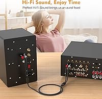 Vista 6 de HOSONGIN Cables RCA de 6.6 pies, paquete de 2 [sonido de alta fidelidad, trenzado de nailon, blindado], cable auxiliar de audio estéreo RCA de 2