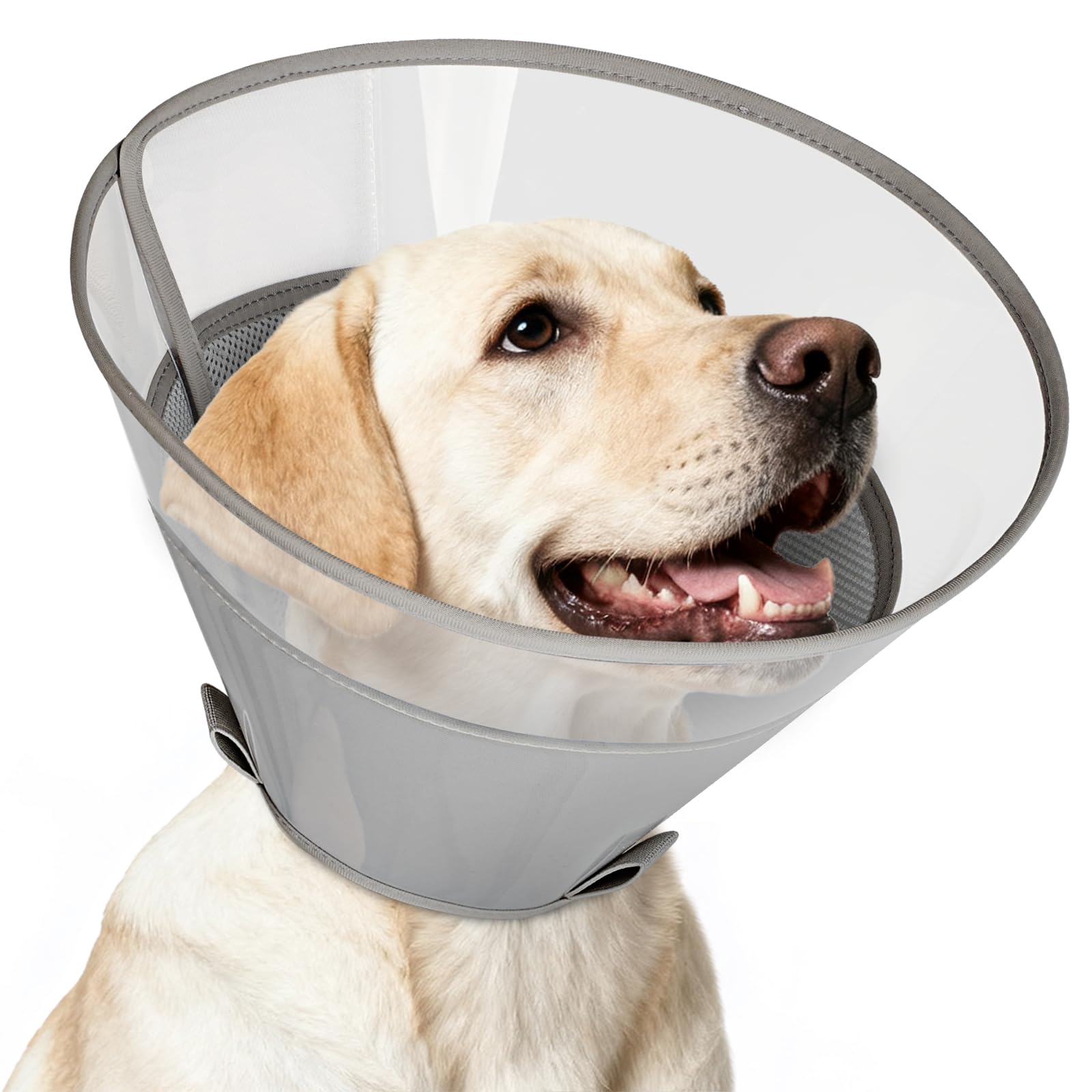 Supet Halskrausen für Hunde mit weichem Polster zum Verhindern des Leckens, Alternative Haustier-Halskrause, transparenter elisabethanischer Erholungskragen, nach Kastrationen und bei Verletzungen