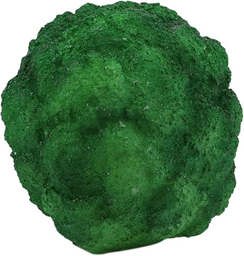 Miniatura 4 de Ebros - Estatua de cráneo de brócoli de verduras verdes de 6.25 pulgadas de largo con temática de ensalada de comida saludable, cabeza de esqueleto,