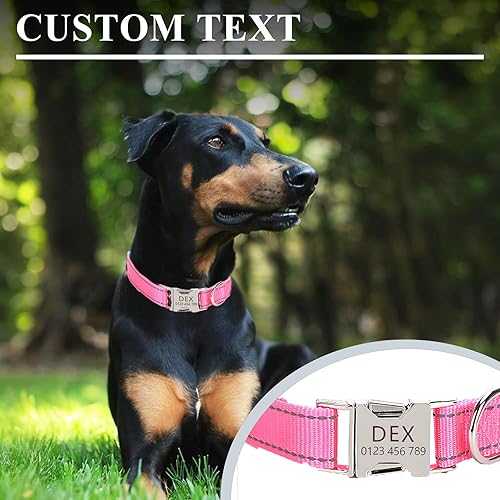 Miniatura 3 de Collar de perro de nailon reflectante personalizado con etiqueta de nombre  Collares de perro con hebilla grabada personalizada  Collar de perro con
