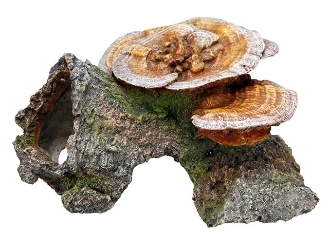 Nobby Cueva de Madera con Setas Adornos Acuario, 18 x 19 x 10 cm