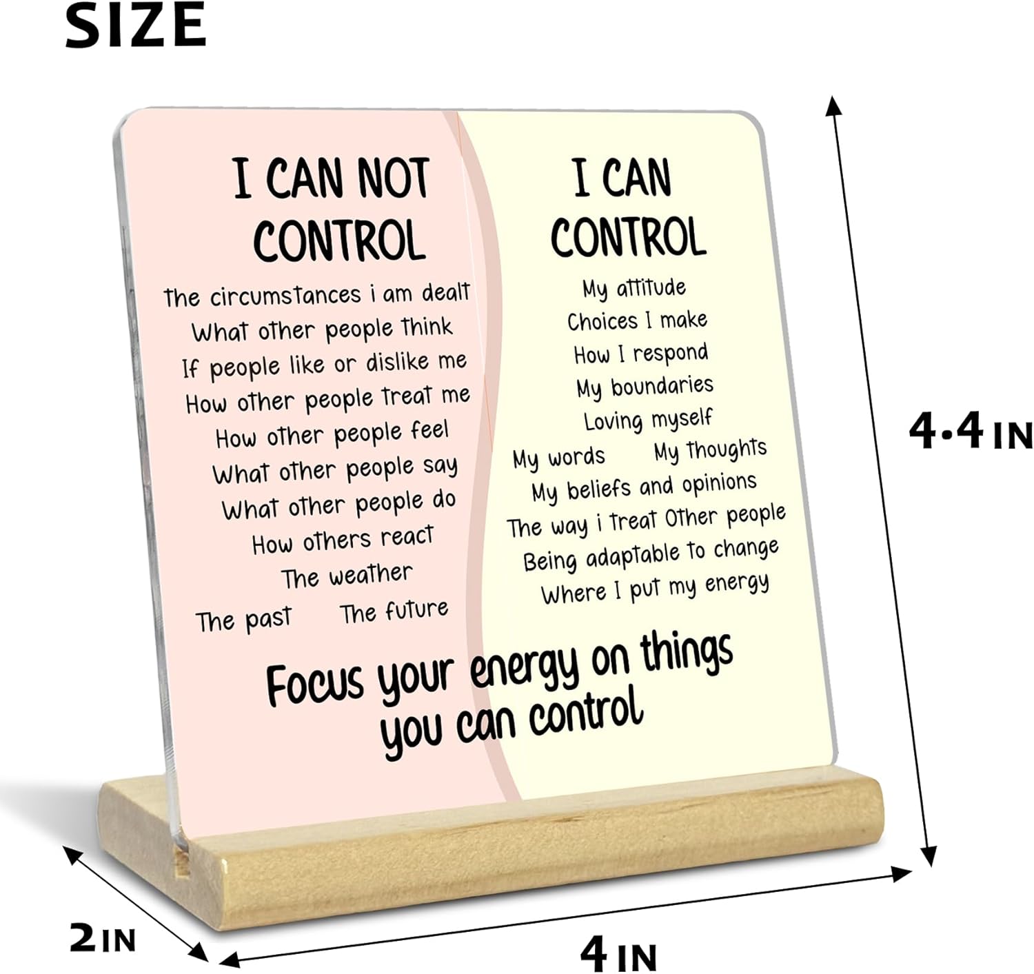 Mental Health Things Acrylic Plaque Gift for Women, I Can Control, Mindfulness Gift for Therapy Office, School Counselor Sign Therapist Office Art Decorations - Image 6