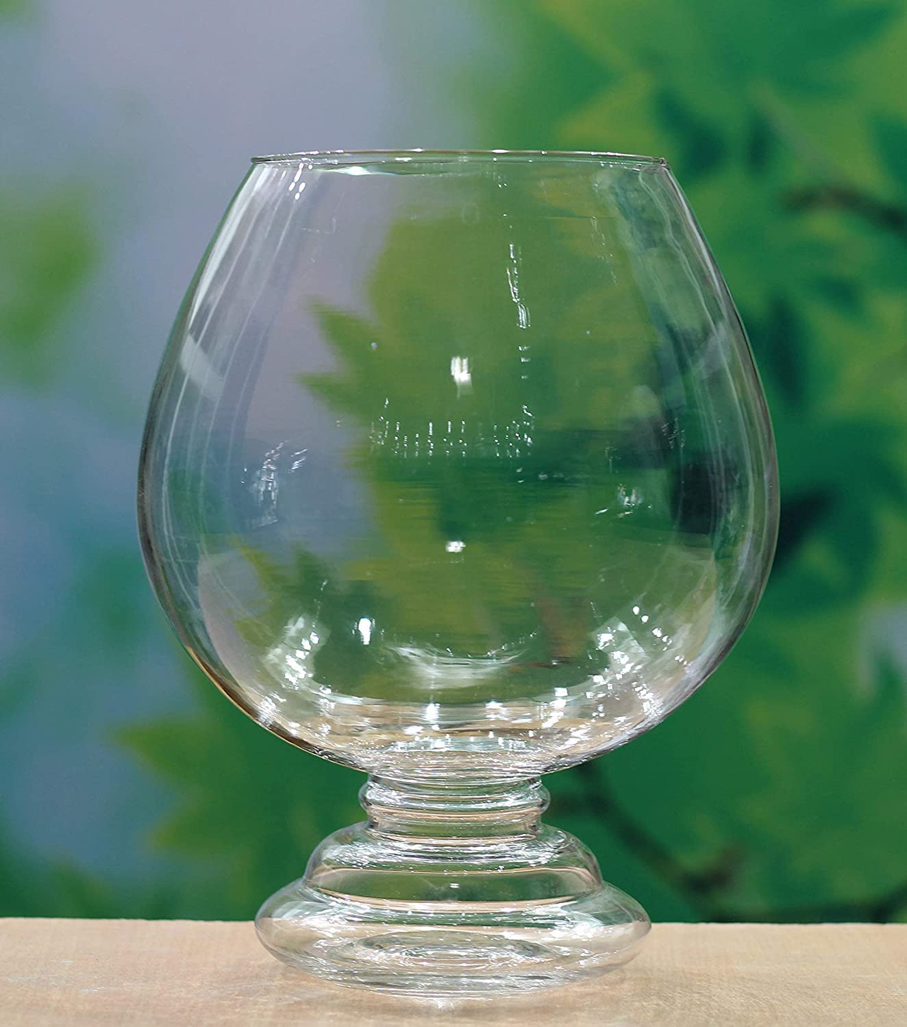 Rishabh home Decoration Crystal Clear Glass Fish or Terrarium Wine Cup Bowl (8 inchi) 1