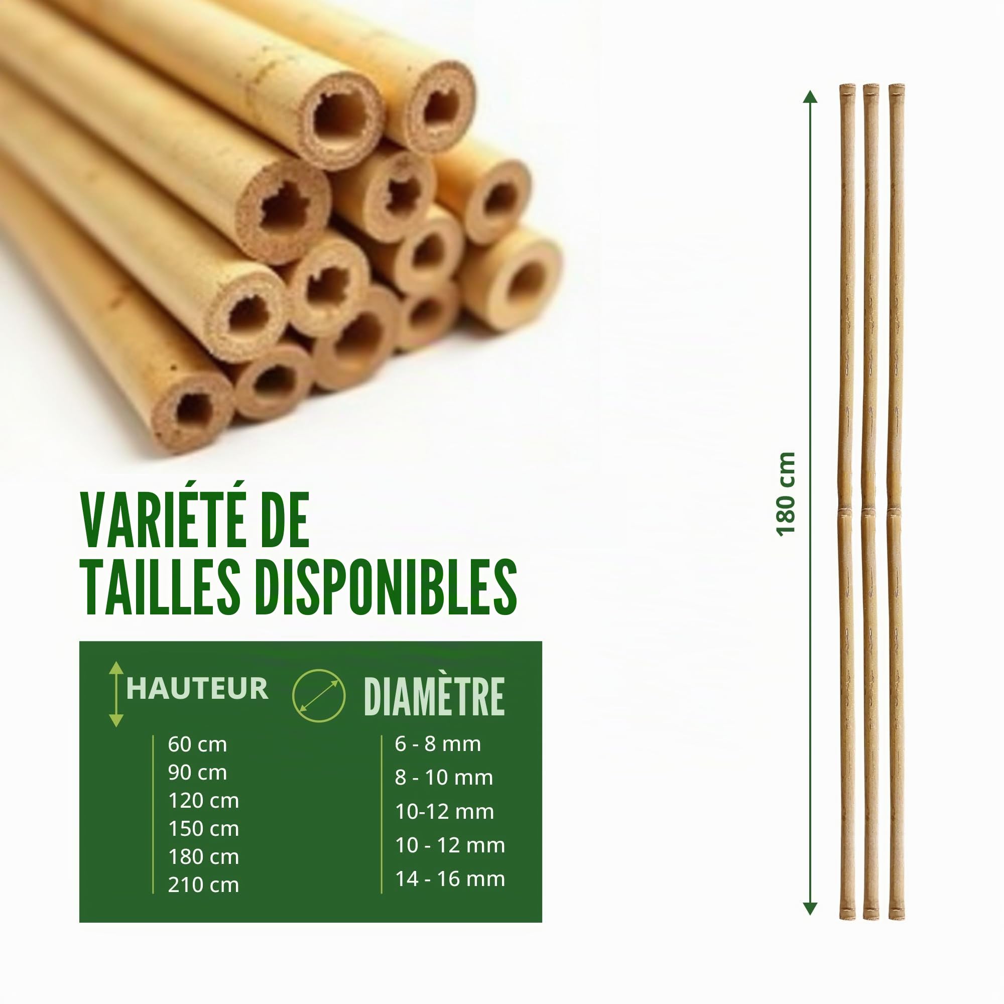 Control Garden Lot 30 Unités Tuteurs en Bambou Écologique 180 cm | Tiges Naturelles pour Plantes Ø 10-12 mm | Supports pour Arbres, Potagers, Plantes Grimpantes et Cultures