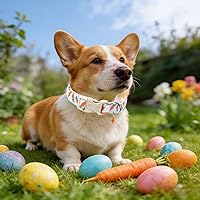 Vista 33 de Unique Style Paws - Collar rosa con hebilla de metal, duradero y lindo para perros pequeños a grandes