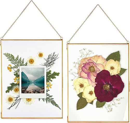 Marco doble de vidrio para flores prensadas, hojas y obras de arte, juego de 2 marcos de fotos colgantes, marcos de flores flotantes de vidrio