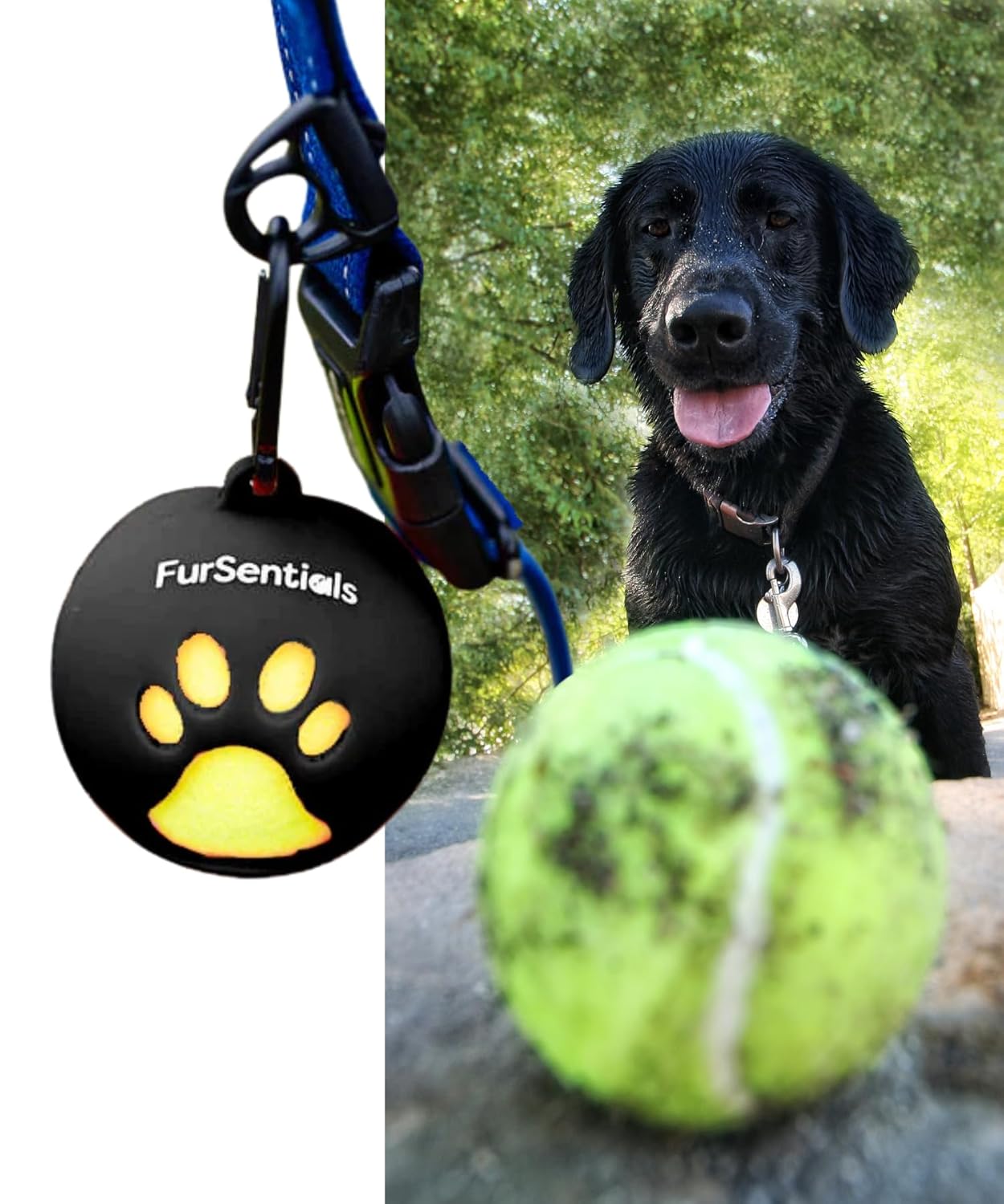 3 Dog Squeaky Tennis Balls Silicone Ball Holder for Leash - with Carabinar Attachment Clip - Squeaky Toy