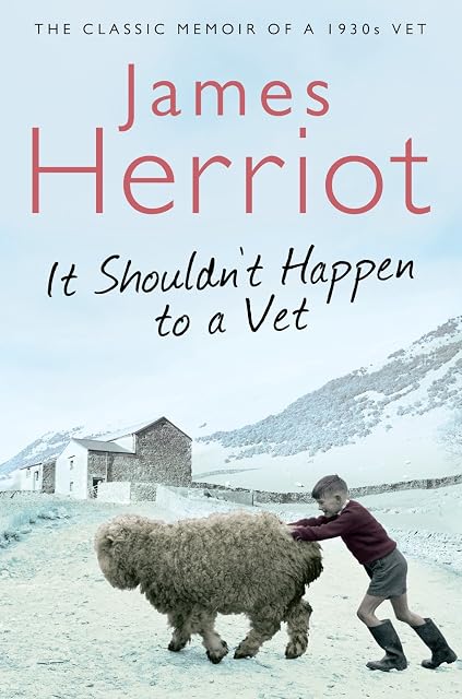 Portada de It Shouldnt Happen To A Vet