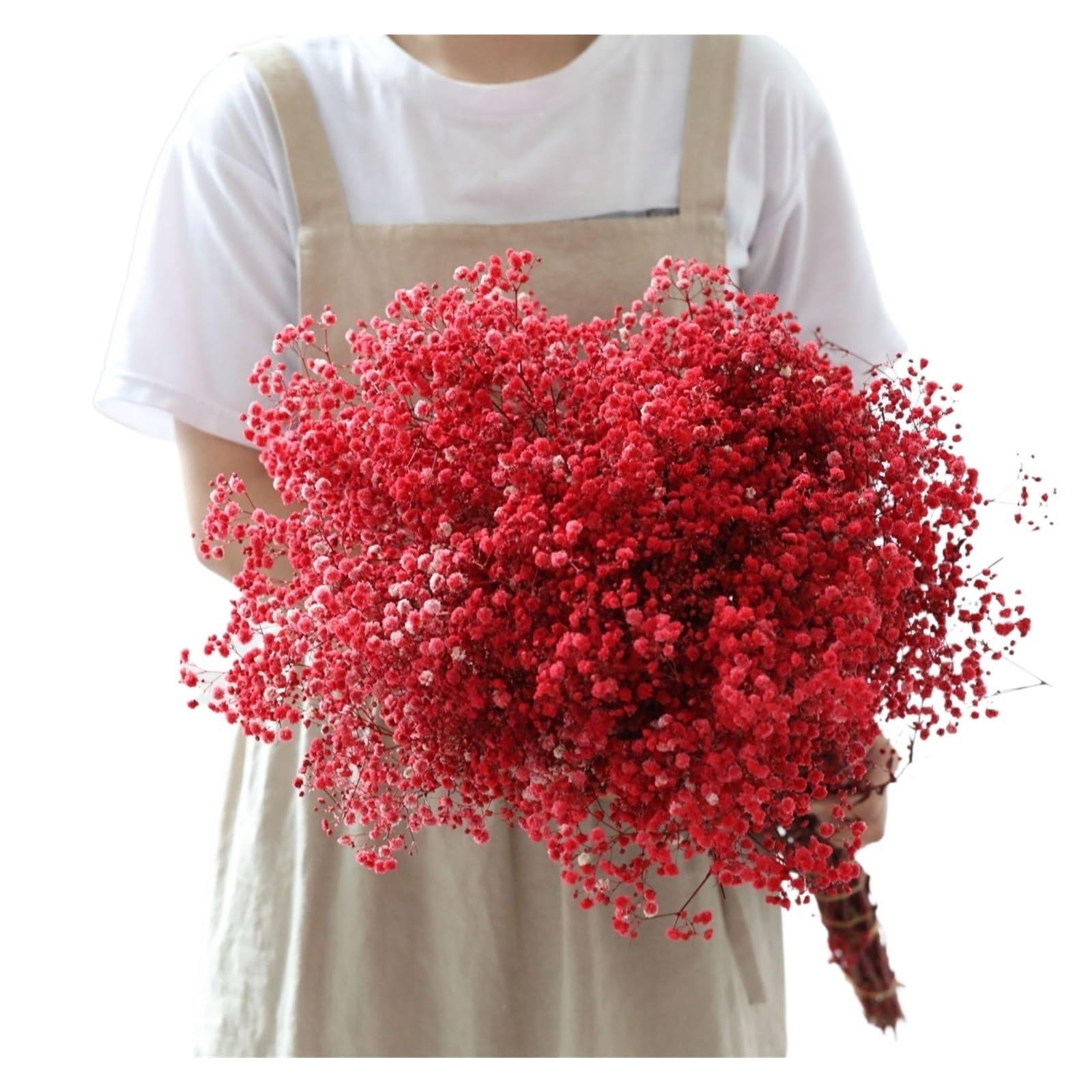 WJIAYAO dried gypsophila flowers Dried Flowers Gypsophila Baby Breath Bouquet Gypsophile Wedding Party Decoration Home Photo Decor(Red,80g)