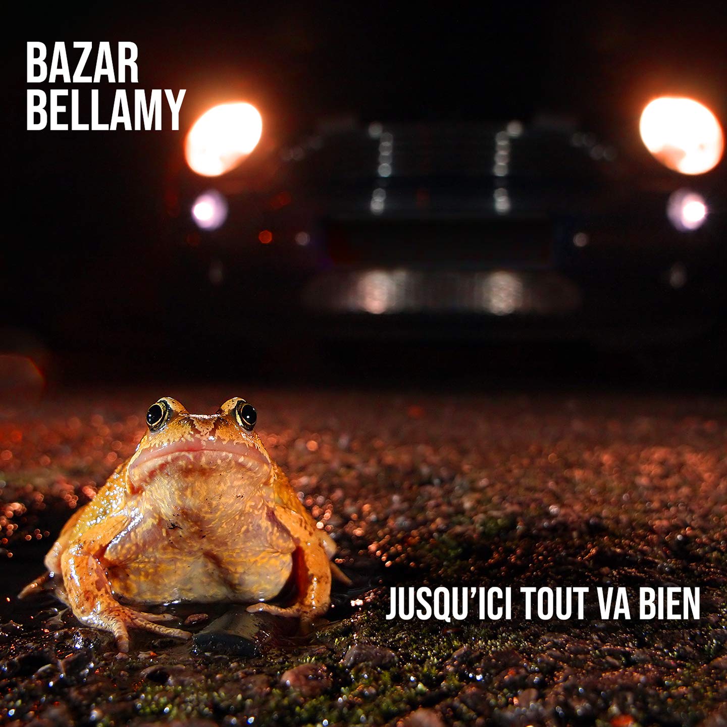 Jusqu'Ici Tout Va Bien