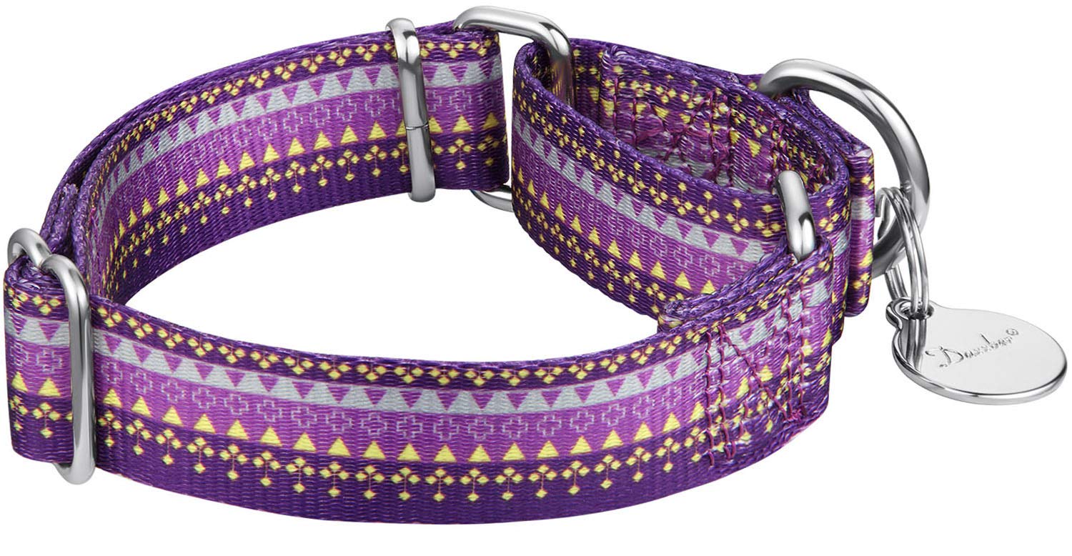 Martingale Collars for Dogs – Soft Adjustable Dog Collar, Durable D-ring Heavy Duty, Choke Collar for Large Medium Small Dogs (Medium, 2.5cm Wide, Dark Purple) — view 2