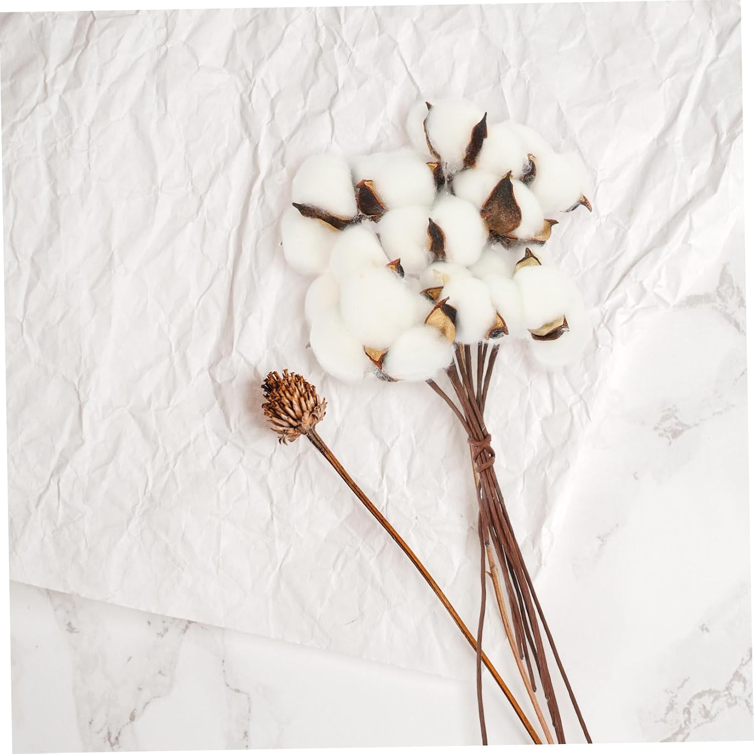 Cabilock Natural White Cotton Branches for Home Decor and Wedding Floral Arrangements Dried Cotton Bolls Picks for Rustic Vase Display and Festive Crafting
