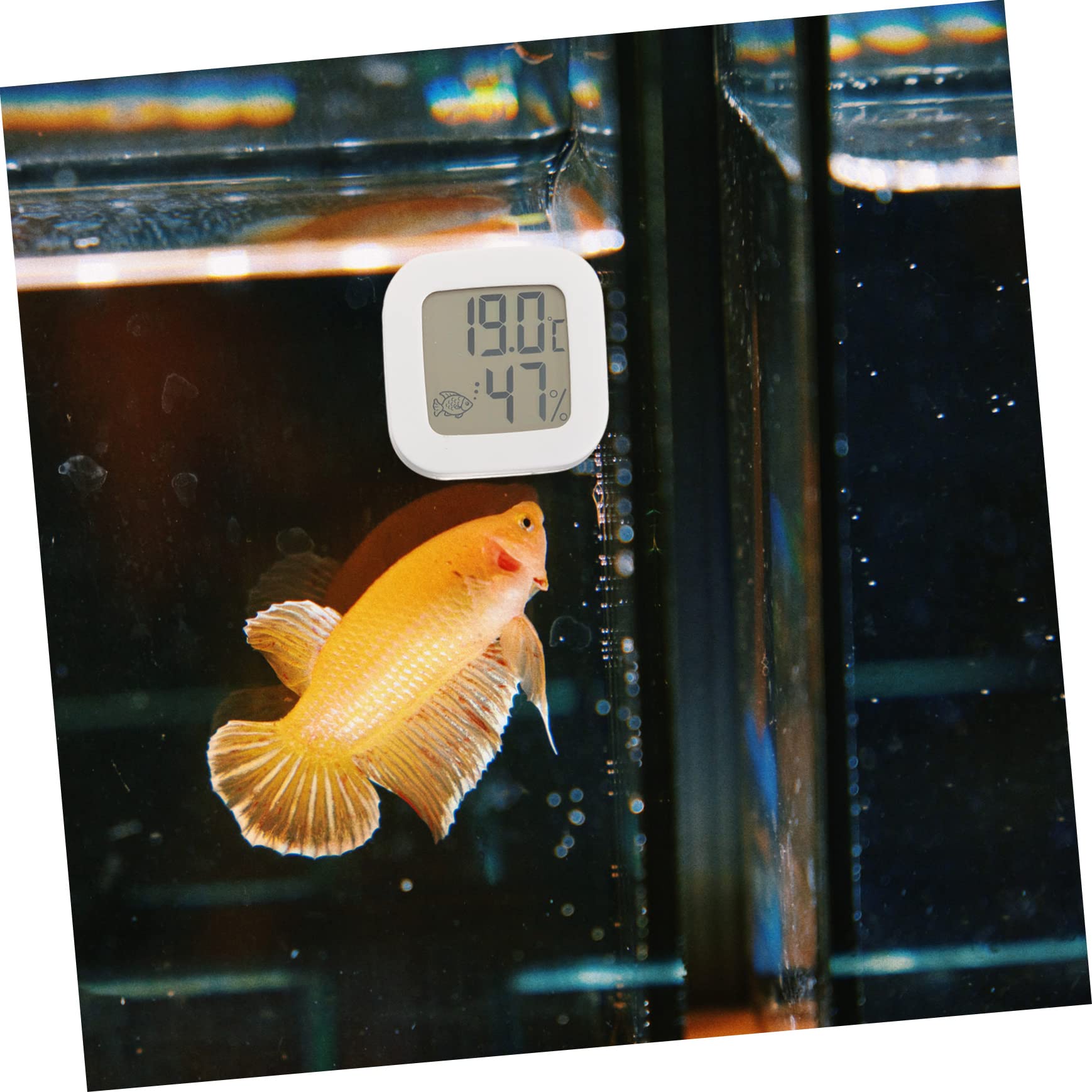 YARNOW 5Pcs Thermomètre pour Aquarium Accessoires pour Aquarium Thermomètre pour Poisson De Compagnie pour Température De l'eau Accessoires pour pour