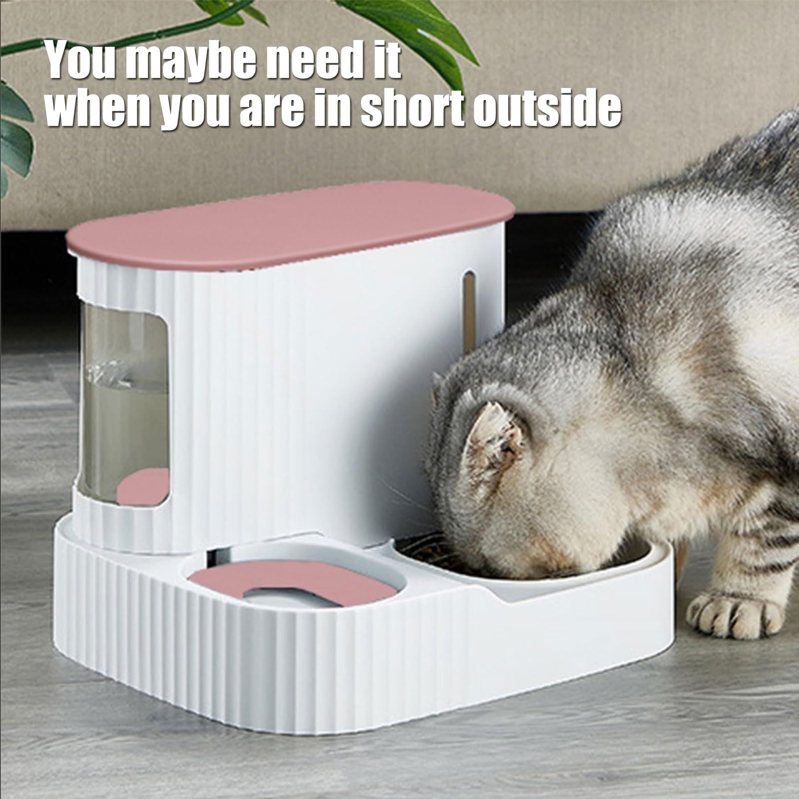 Comedero automático for Perros y Gatos, Juego de alimentación Agua Comida for Mascotas Interior, Color Verde