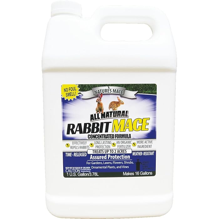 Buy Nature's Mace Rabbit Repellent 1 Gal Concentrate/Covers 2 Acers