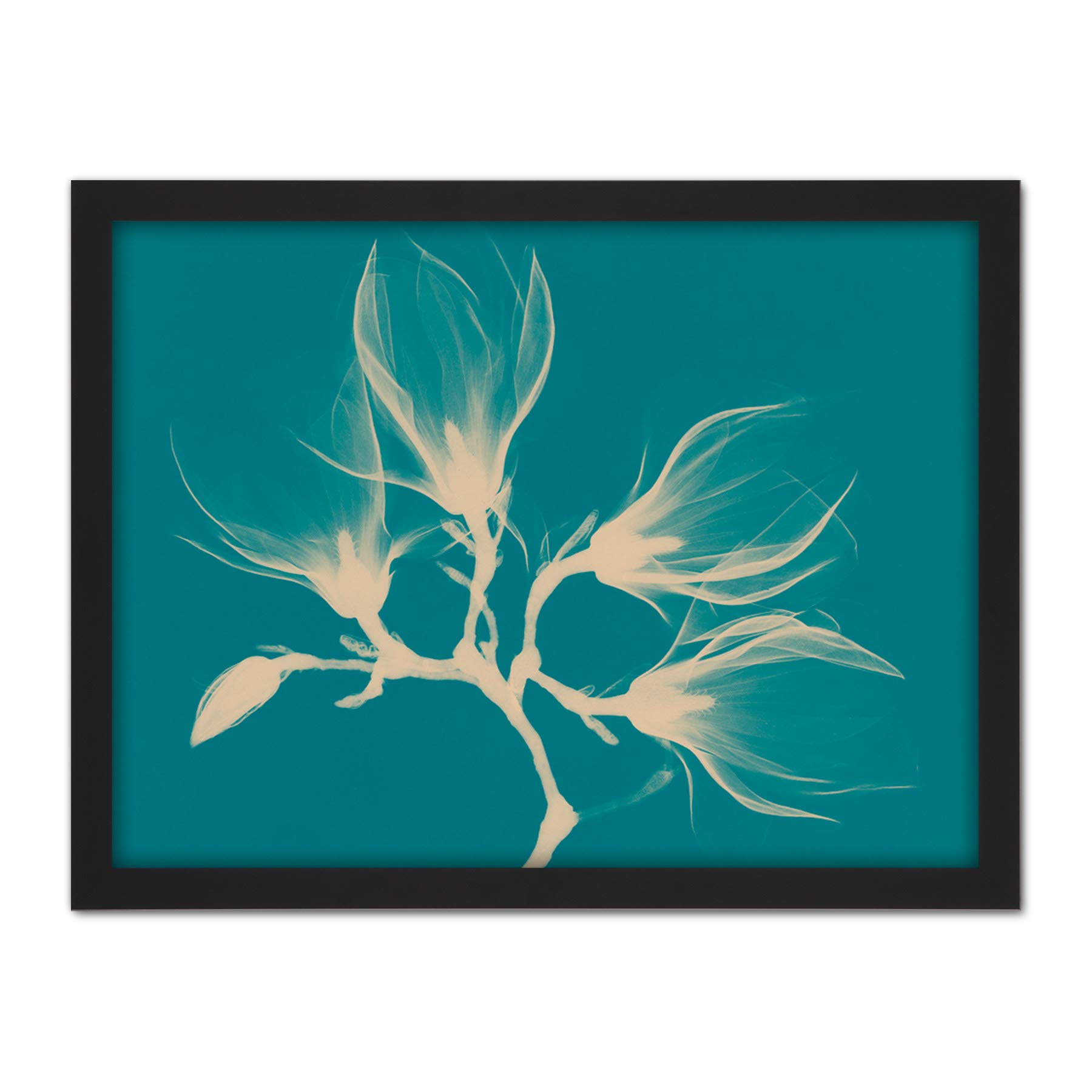 Wee Blue Coo Magnolia Branch Xray Blue Artwork Framed Wall Art Print 18X24 Inch
