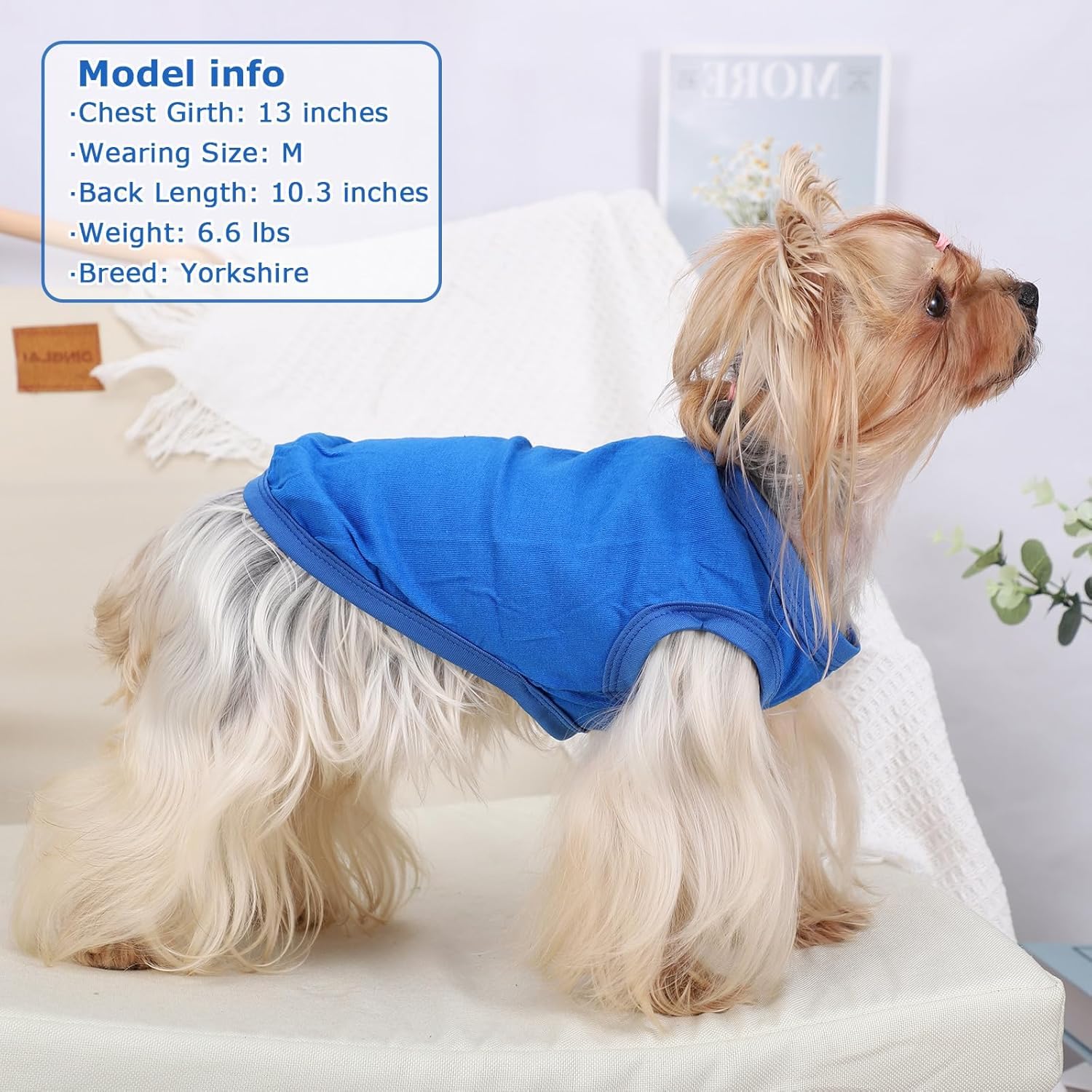 Gilet Rafraîchissant pour Chien,Gilet de Refroidissement pour Chien, Gilets pour Chiens Frais Et Confortable pour L'Été, Adapté Aux Chiens de Petite Et Moyenne Taille/Bleu M