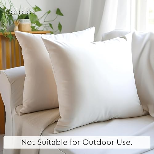 Vista 203 de Encasa Homes - Juego de 2 fundas de almohada, 18 x 18 pulgadas, lona de algodón teñidas, cuadradas, decorativas, para sofá, silla, cama y hogar, Azul