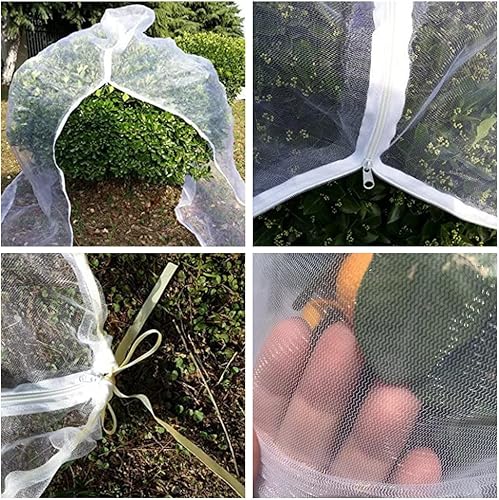 Miniatura 4 de Agfabric Bird Netting - Red de jardín de 84 pulgadas de alto x 72 W, barrera de plagas de insectos, cubierta de plantas para árboles frutales, bolsa