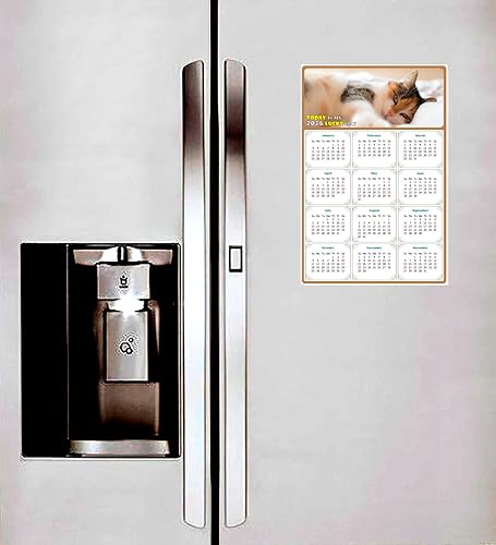 Miniatura 3 de Calendario magnético 2024  Imanes del calendario  Today is my Lucky Day  Resistente a la decoloración, desgarros y agua  Temática de gato 04 (7 x