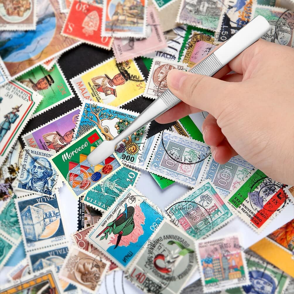 はんこセット スタンプセット きらりんエナガマーチ[品番：BREW0197159