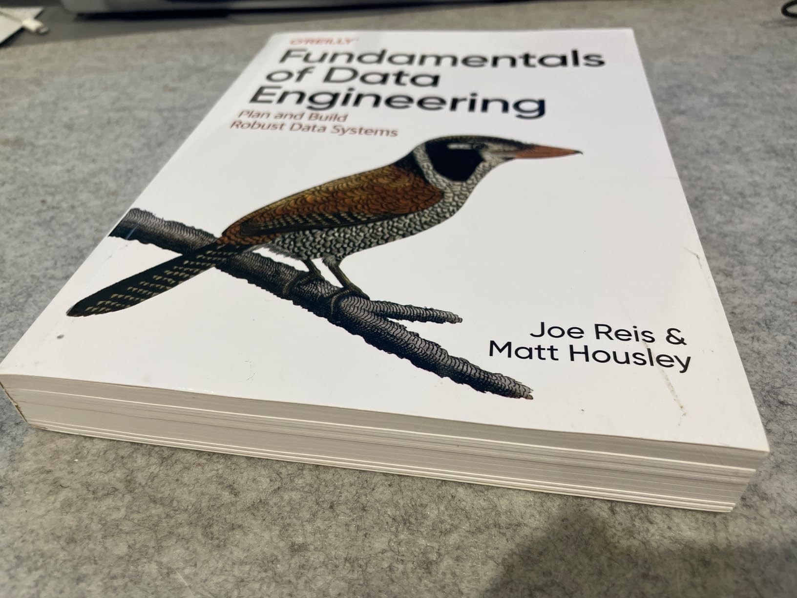 Fundamentals of Data Engineering: Plan and Build Robust Data Systems ...