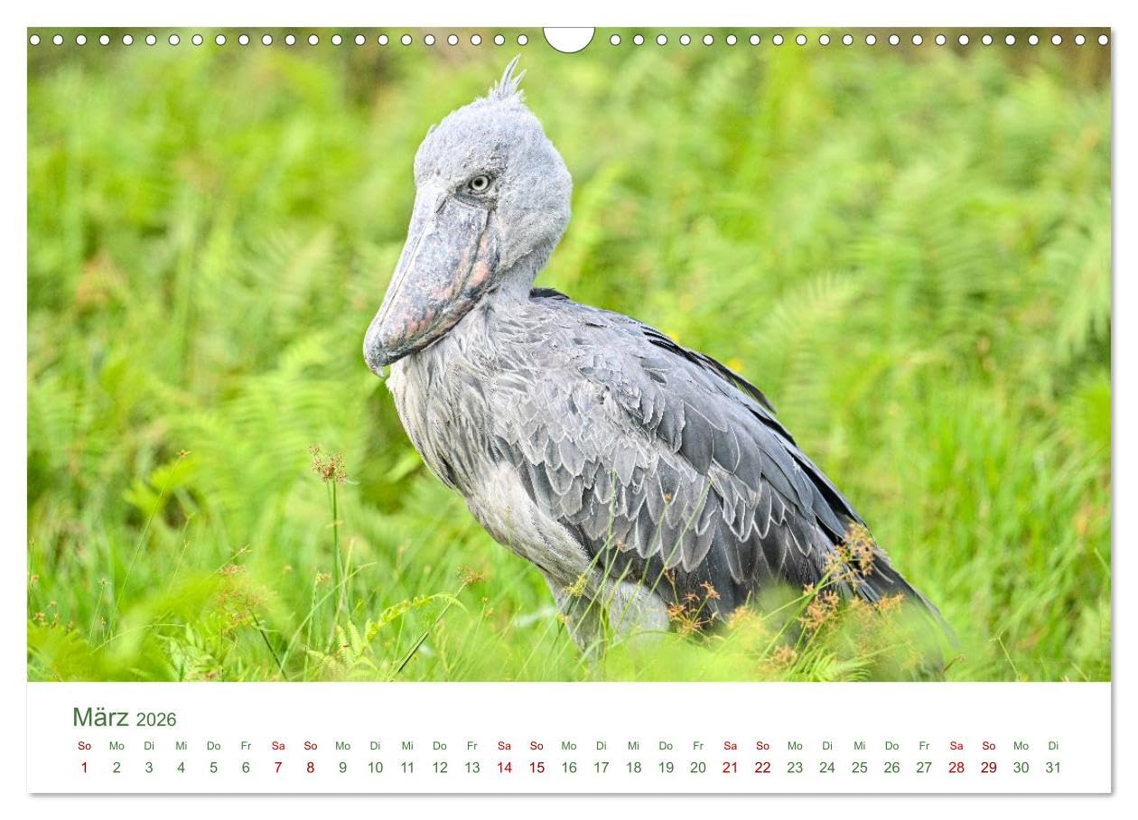 Tierwelten UGANDA (Wandkalender 2026 DIN A3 quer), CALVENDO Monatskalender: Tierwelten Uganda – Afrikas faszinierende Tierwelt in Bildern