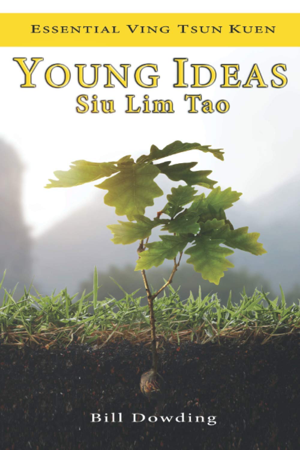 Young Ideas: Siu Lim Tao: 1 (Essential Ving Tsun Kuen)