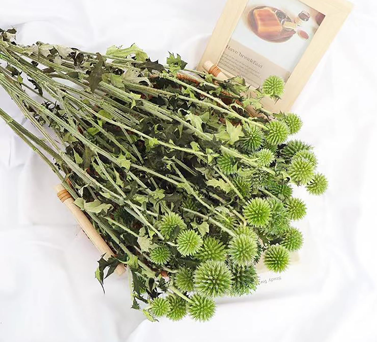 Preserved Echinops Globe Thistles Flowers, Preserved Echinops Globe Flower for Wedding, Boho Party, Home Decor, DIY Floral Arrangements, Gift Box Decorations, Dried Flower Arts, Green