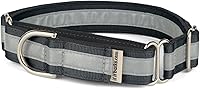 Vista 4 de If It Barks Collar Martingala reflectante de 1" para perros, ajustable, fabricado en Estados Unidos, pequeño, oro amarillo