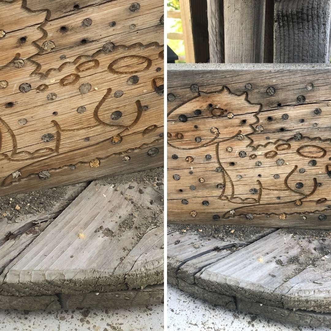 Insektenhotel Wildbienen Kinder Dino Drache Nisthilfe Bienen Eiche Massivholz