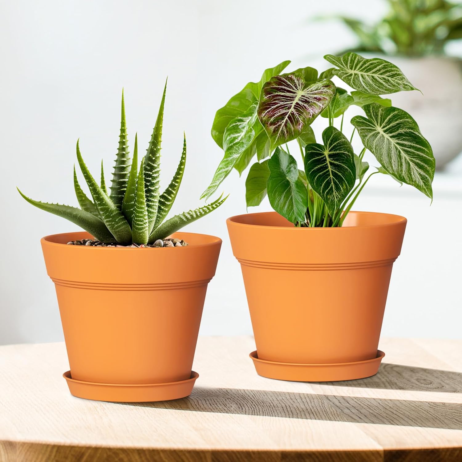WSMKSZ 7 Inch Thick Plastic Plant Pots with Drainage Holes and Trays – 6 Pack Nursery Pots for Indoor & Outdoor House Plants, Seedling Starter Planters for Garden Flowers, Terracotta