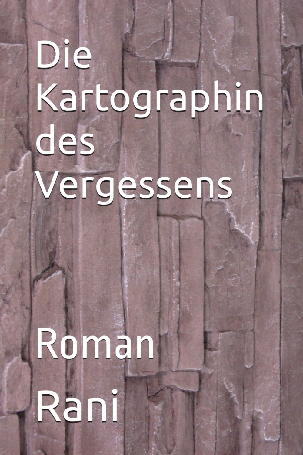 Die Kartographin des Vergessens: Roman