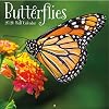 TURNER PHOTOGRAPHIC Butterflies 12x12 Photo Wall Calendar 26998940010