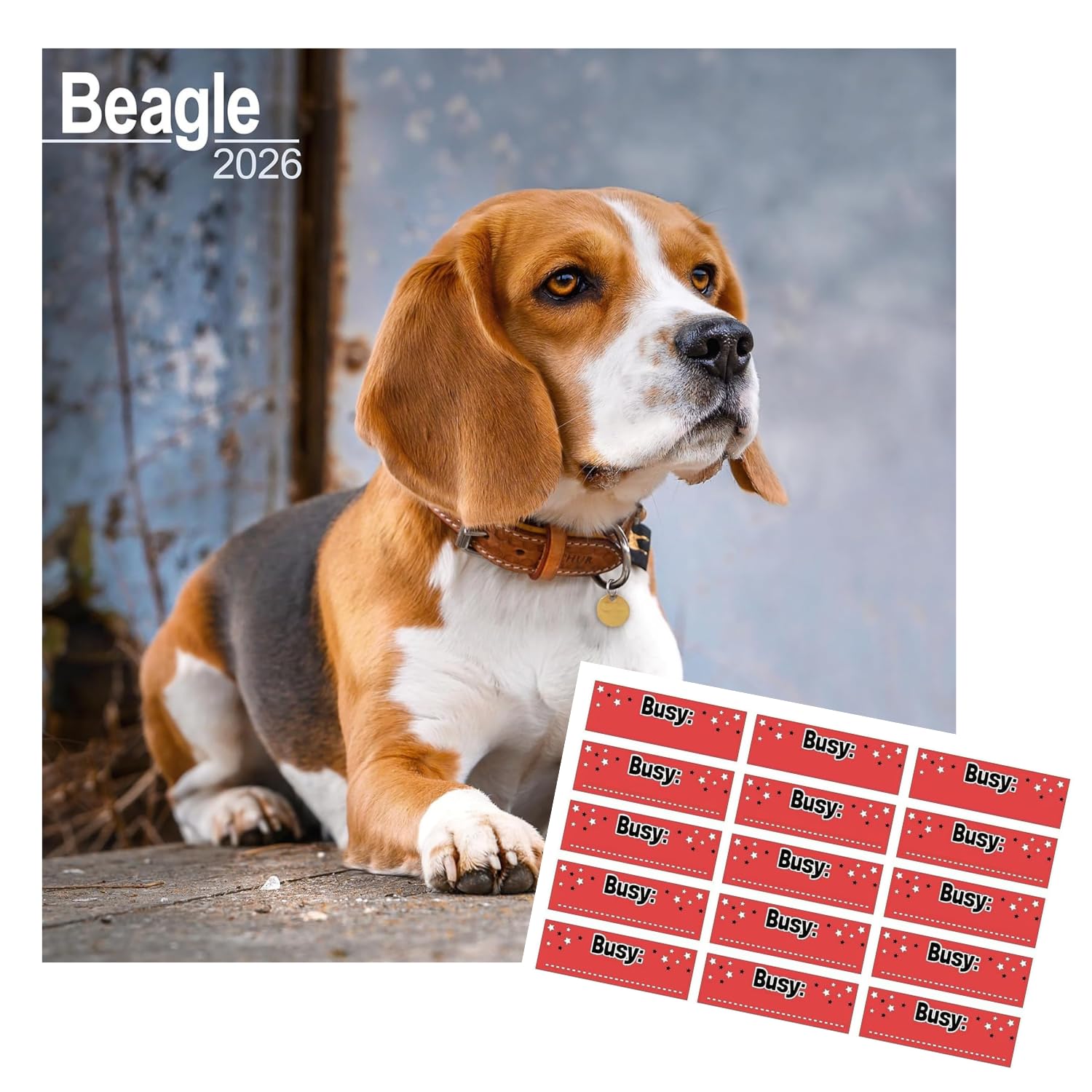 Baker And Bray Dalmatian Calendar 2025, Large Square Wall Calendar With - View #8